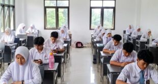 SMA IMBS