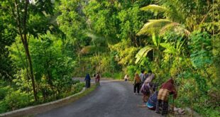 Potret Hangat Gotong Royong Warga Padukuhan Kembang Jelang Muswil VIII LDII DIY