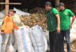 Atus Syahbudin saat meninjau daun cengkeh sebagai bahan baku minyak atsiri. Foto: Lines
